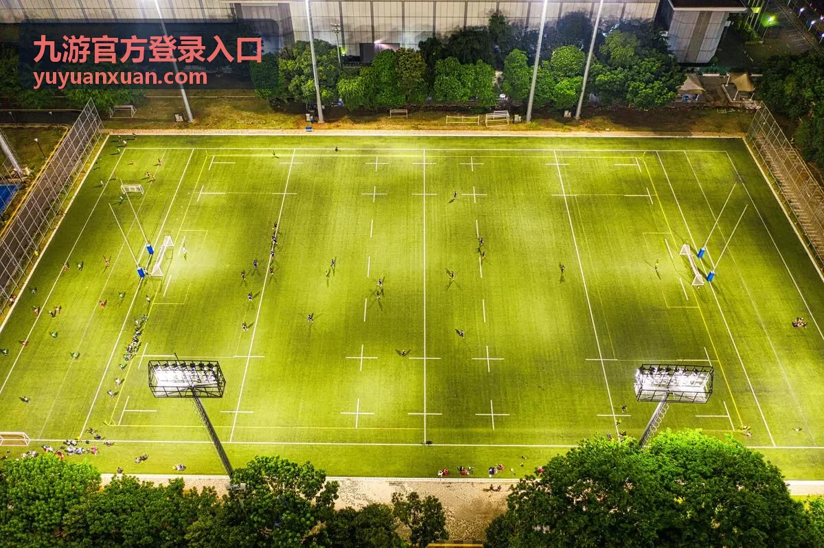 九游官方登录入口备用网页访问示意图